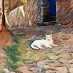 The village cat
