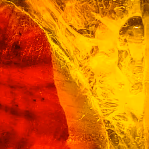 Item #8251270981130702250905355697814279819197198943221984468281114986571274125313 Media