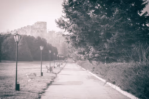 Item #67688584421011527145752111095491614752319108434343428878661255601624461606913 Media