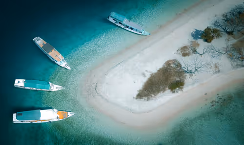 77639041975894886609071233097545712090510044969555444171952761915702213869569