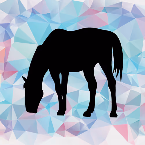 Item #36467127734698311133431739672523812120921410421928530678152576869467546451969 Media