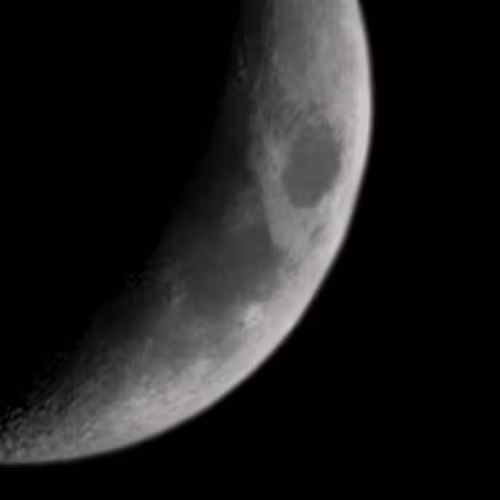 Untitled Collection #137202621