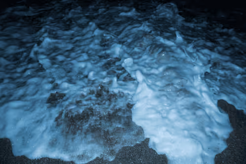 Item #65334289746679534718729475887804441956060191570096093289886828061892261445633 Media