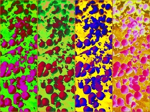 16367176991632248916148432598076694427121732422208099422090177426520230854657