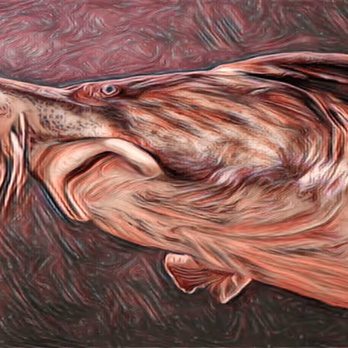 Item #5268166588450870648624449421433370993939742768172324454239271361420822839297 Media