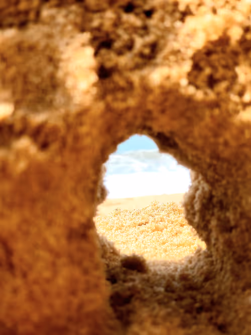 Item #41608925496439583284809555663885876184163164530978979239857956434225263542282 Media