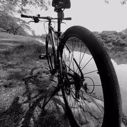 the bicycleat the lake