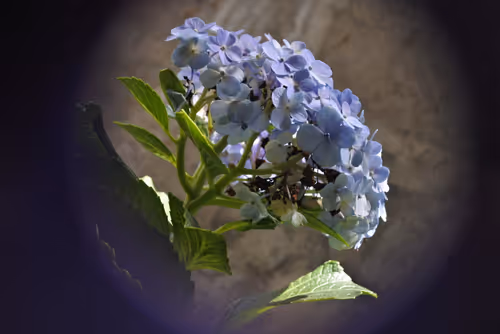 Item #38125591017817632064075255466236726270768281908767688394852615380841797779457 Media