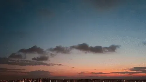 Item #54545336870129037164307986437789858251348704753246412266065009472347993800705 Media