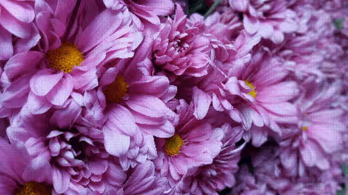 Item #75866091947728652238534111254584504918190435733442380629681527366943604998145 Media