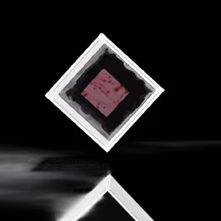 58306283000782837776762951348226041241131011135114358715021865014978752282625