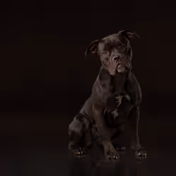 39267609400351157350082818508963900481325606176986545385386430962964788936705