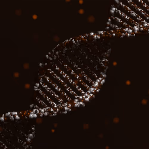 Item #113395677080381858456097698969021148731173449515476865940740430449858247131137 Media