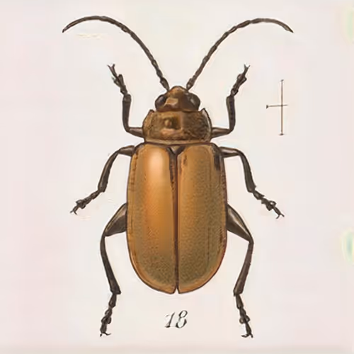 Item #58241160855422744817468407088196322100109565521561100950236904712458320478209 Media