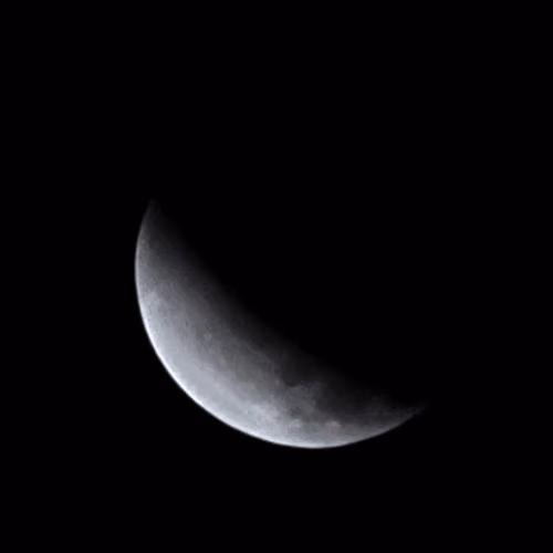 Nov Eclipse
