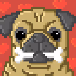 Pug 6