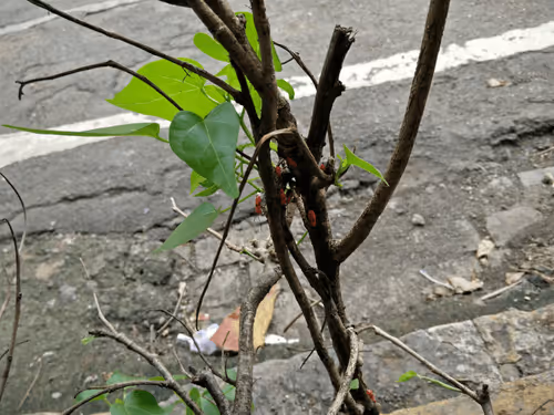 7507343988151075088263215786658564424207289425902969220845212494671181250561