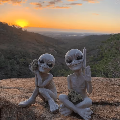 Item #18334770512891604546317262161284117031945344355391910192931216556167559905281 Media