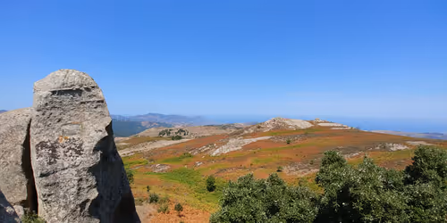 Item #56287055780979128950245095664156082691230445151418642547794192042014395072513 Media