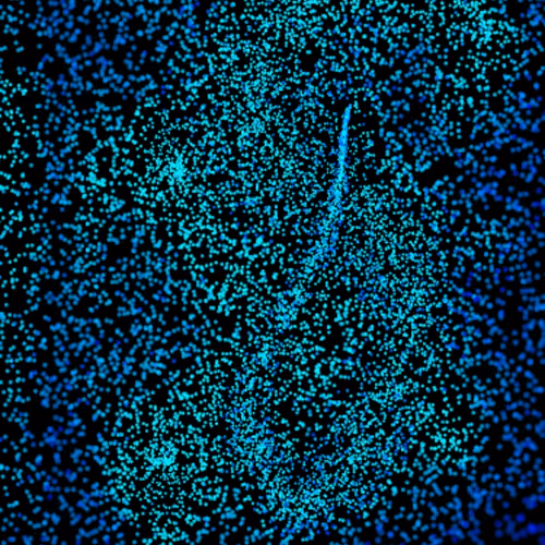 Item #88208655055871261960129437524118504800489196864708373592270836138415342223361 Media