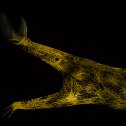 11276162529628641556553056529614973332754405277106184420845745013626568179713