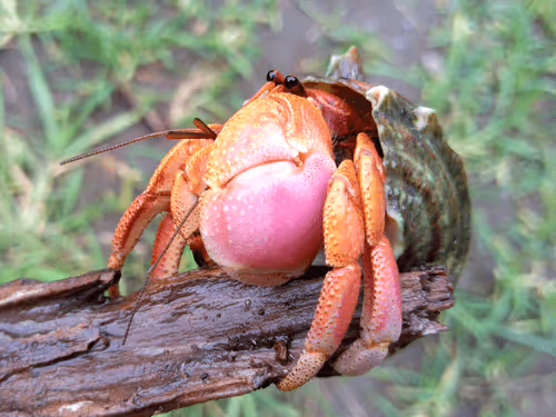 91920838516500969586140493576070920060778375503638515337937380303030758408193