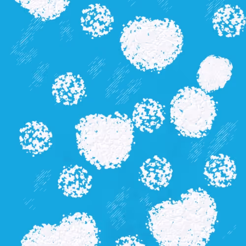 First snow