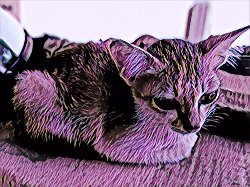 Item #74122138759525378795667626270866148487737655975912799548892275582146055241729 Media