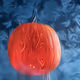 15081463501546268006596121588316872326209313817998412847676536825757340532737