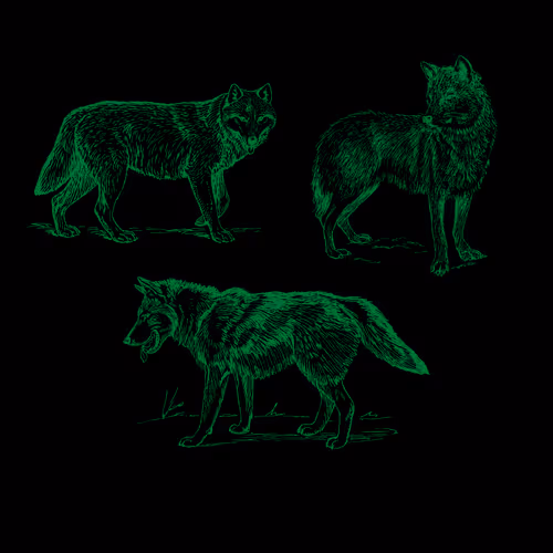 Item #25506781774429673479118459037672467037102609755826934466658808705137952948225 Media