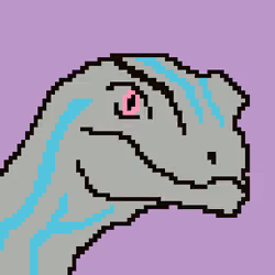 BitRaptor 6