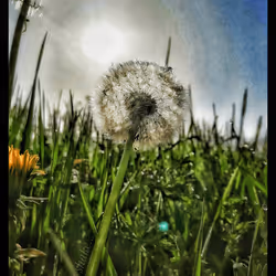 3787080761074609709675817509753112159059746763483256848434353661150501011457