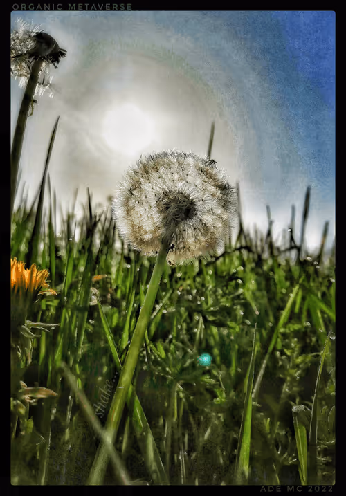 Item #3787080761074609709675817509753112159059746763483256848434353661150501011457 Media