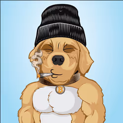 91655410557744893771831586830451060185116832686887291820253911826681351372801