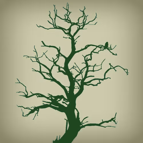 Item #28584310891482146390254294675559111591300807555565075434256981943307175198745 Media