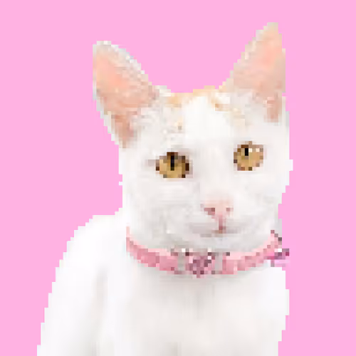 91910287960762603597667557624097333532700135261074982792072954940504340955137