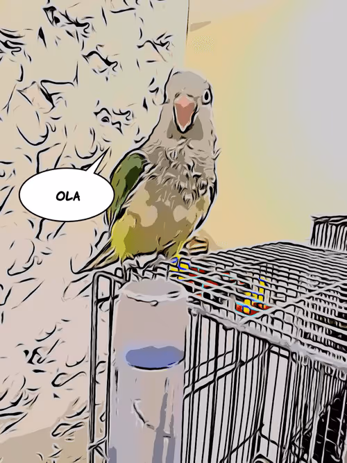 Item #76631932650870505180928448612109884945318562859466433909891869913793786019841 Media