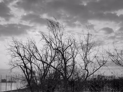 Item #67735063741821568461773819163901199613015394184580788497875190254176856702977 Media