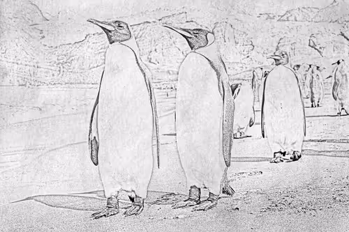 Item #104571871624713793639651805658793486494192065920849225127728493732099975544833 Media