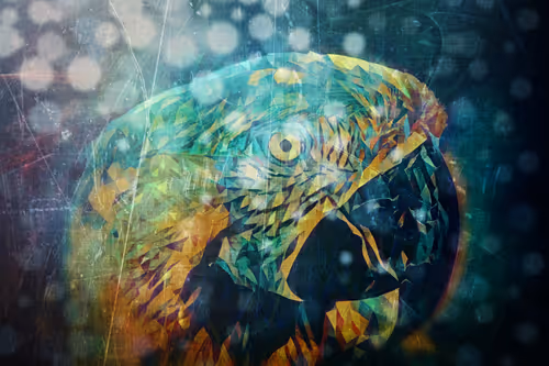 Item #45454897768330312050306327593764042770009243947436545053610604853150814830692 Media