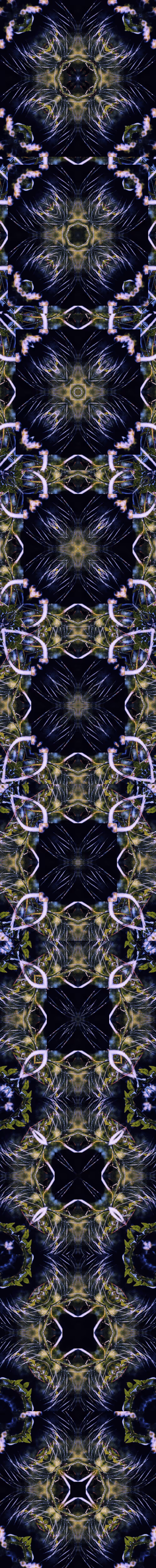 Item #33273431064062745158281459223994481396408298461003960329838769689832997257221 Media