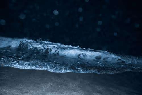 Item #65334289746679534718729475887804441956060191570096093289886828073986889351169 Media