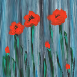 Poppy