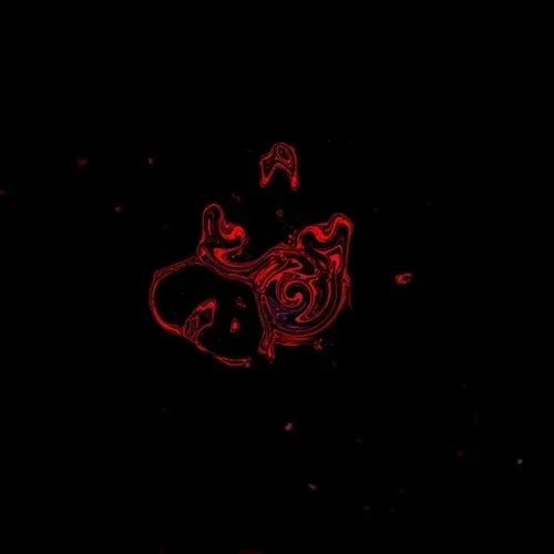 Item #27486400902495985240294042852775117457432274727710217616977196838376162983938 Media