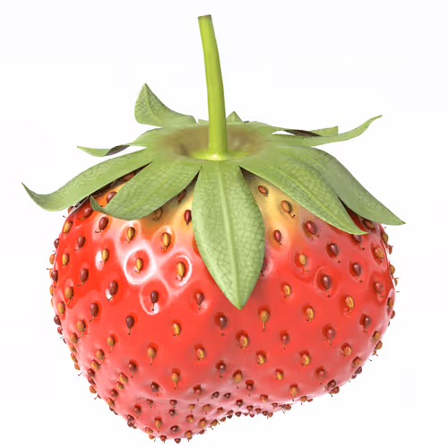 Item #55385083907496422223697508296525294302949463273942408304666417679847026327553 Media