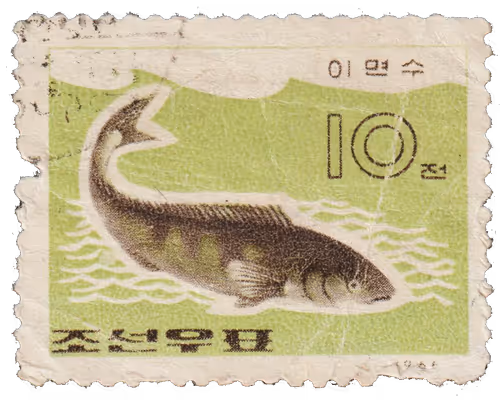 Item #36928828717643675900437569795538987988773281266085500979873832638851907059713 Media