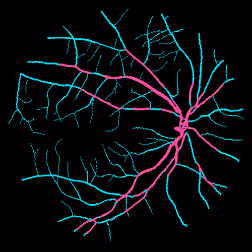 Item #7078802064077755305879053961196844759257248211509687953083586024338297454593 Media