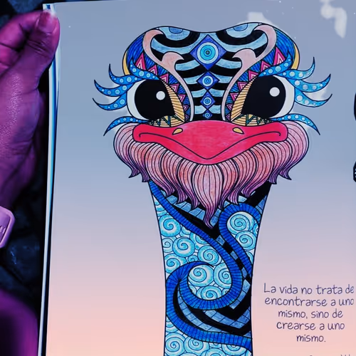 BuddBunny Collection