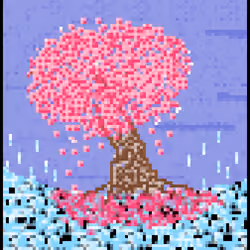 Sakura purple