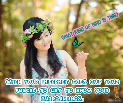 Item #80317800320504061765698405195946639527219012869663641548799070432686701019137 Media